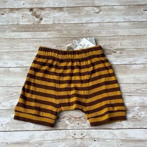 Kate Quinn Panda Shorts